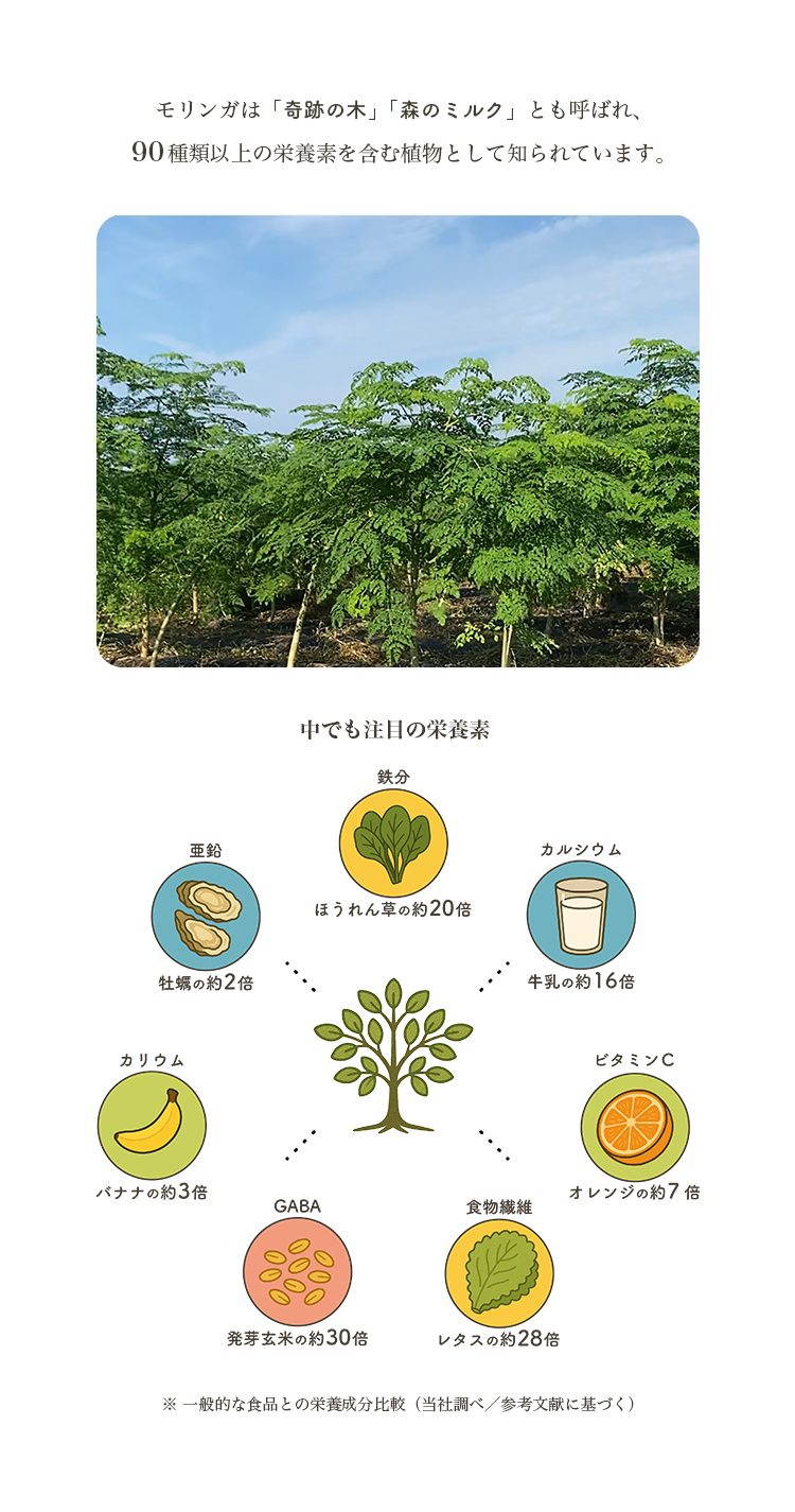 説明1