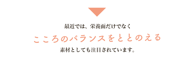 説明2