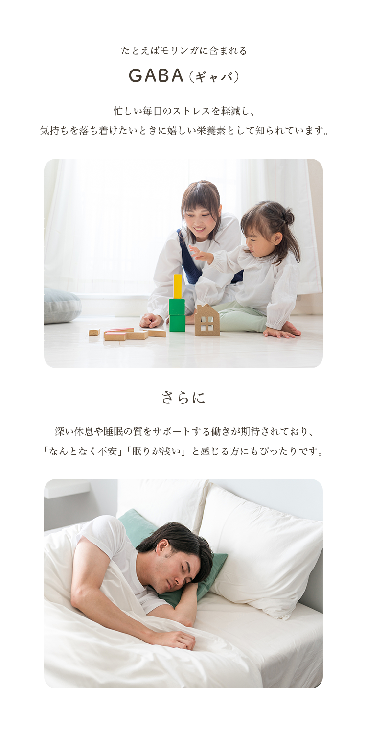 説明3