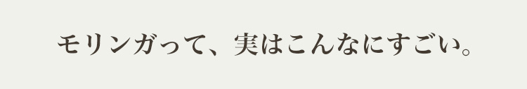 説明タイトル