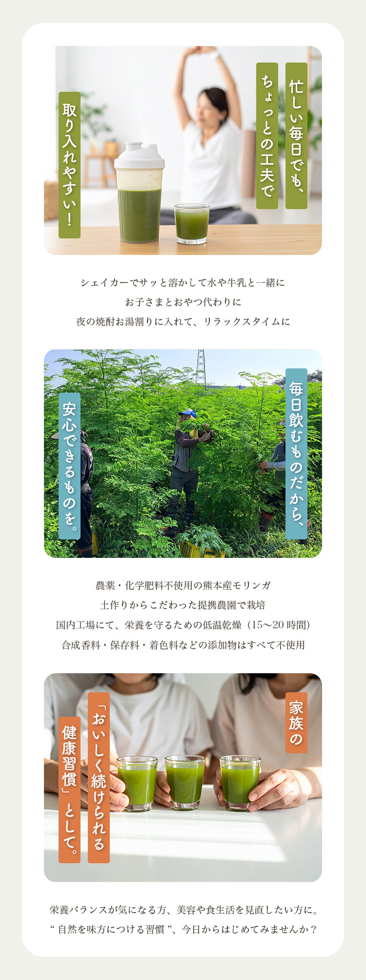 提案