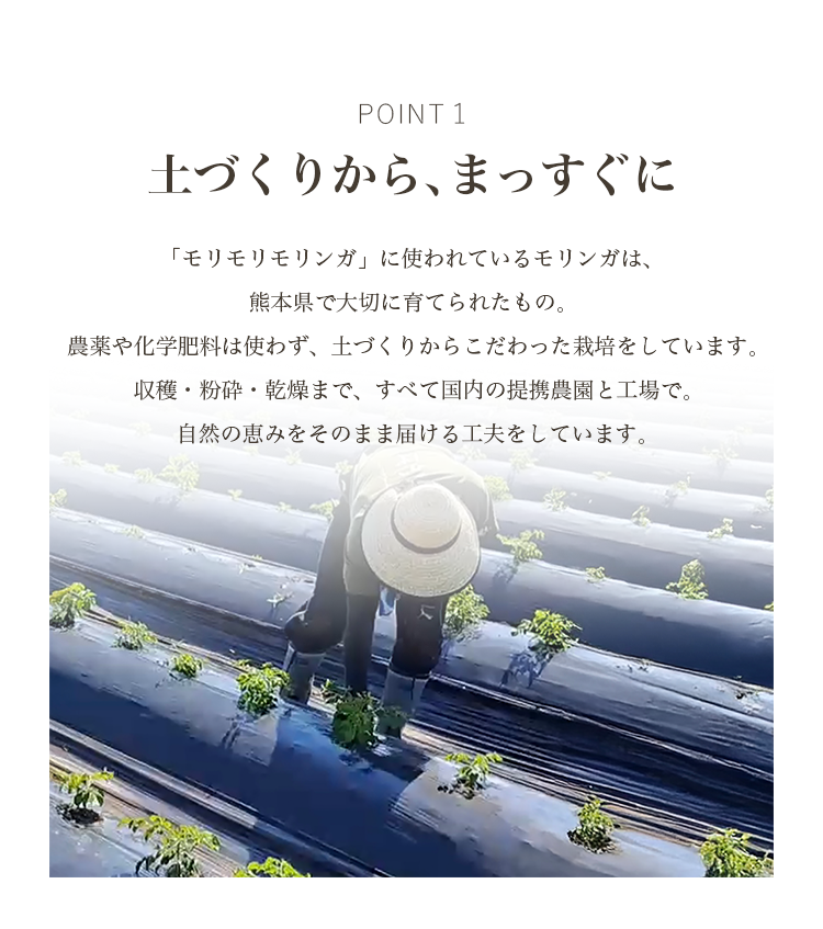 ポイント1