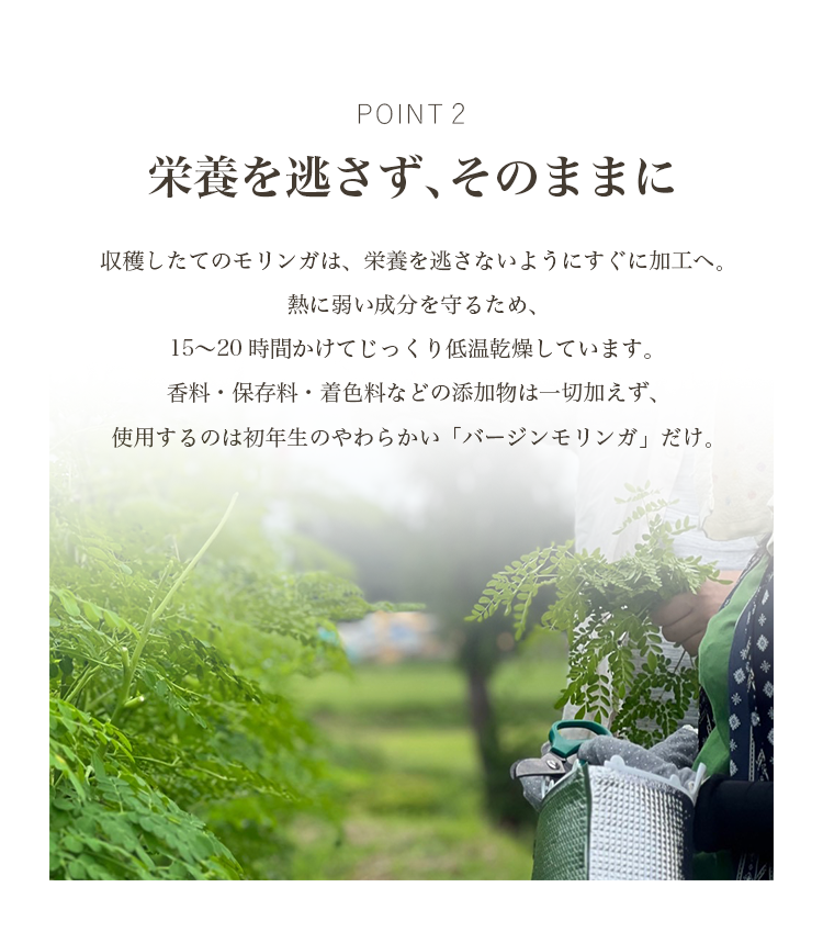ポイント2
